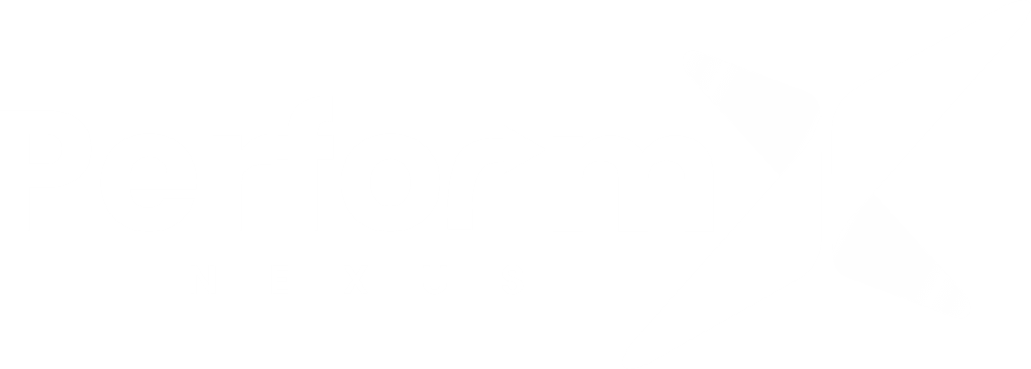 PerformX